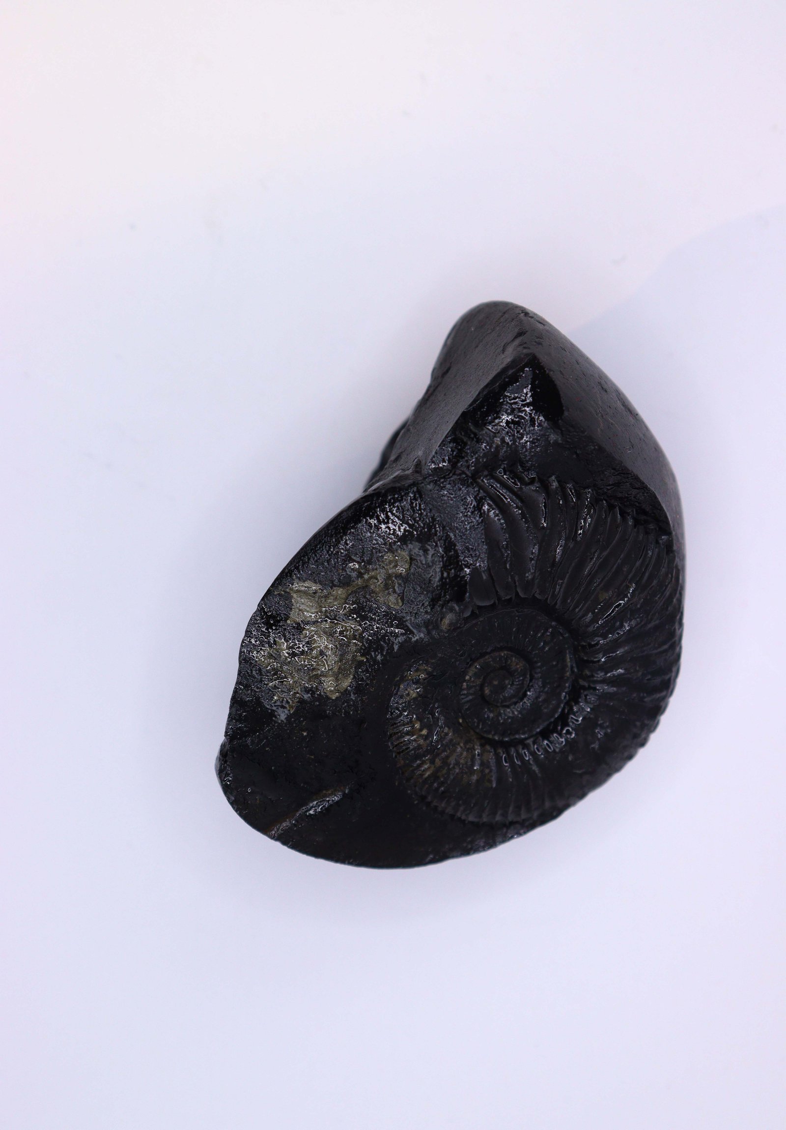 शालिग्राम (shaligram)